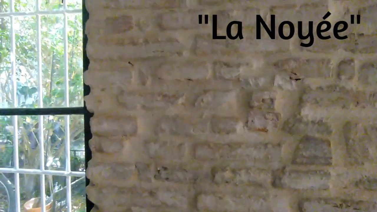 LA NOYÉE - acordeón - trompeta - yann tiersen