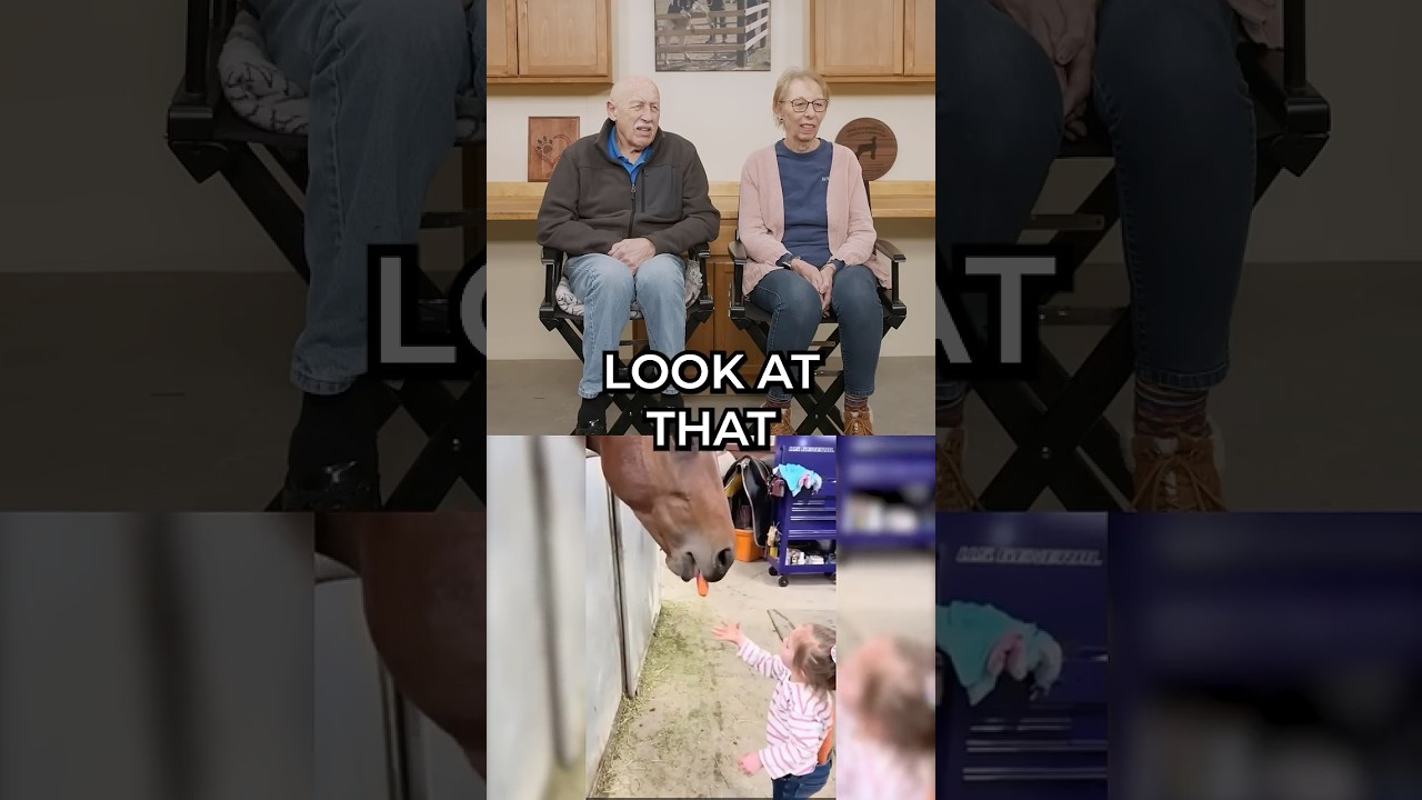 Dr. Pol Reacts - Little Girl Feeds Carrots to Hungry Horses! 🥕🐴