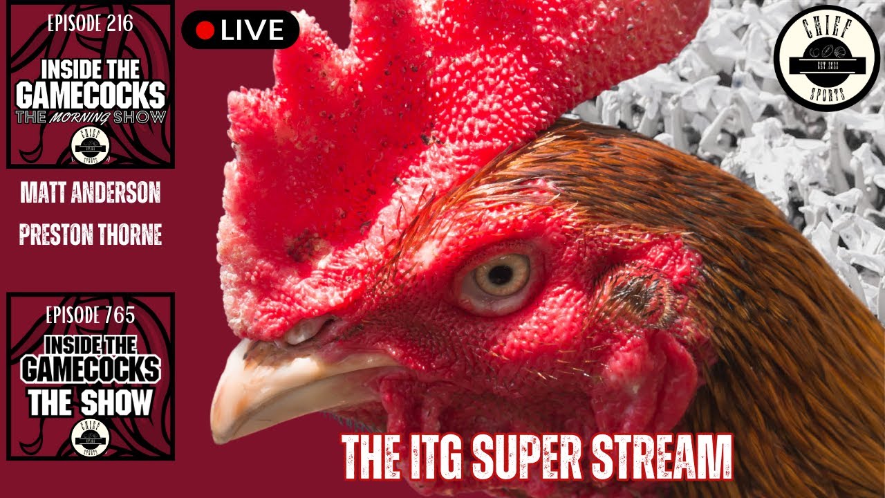 Gamecocks Live: Looking At The Defensive Line and Transfer Portal News