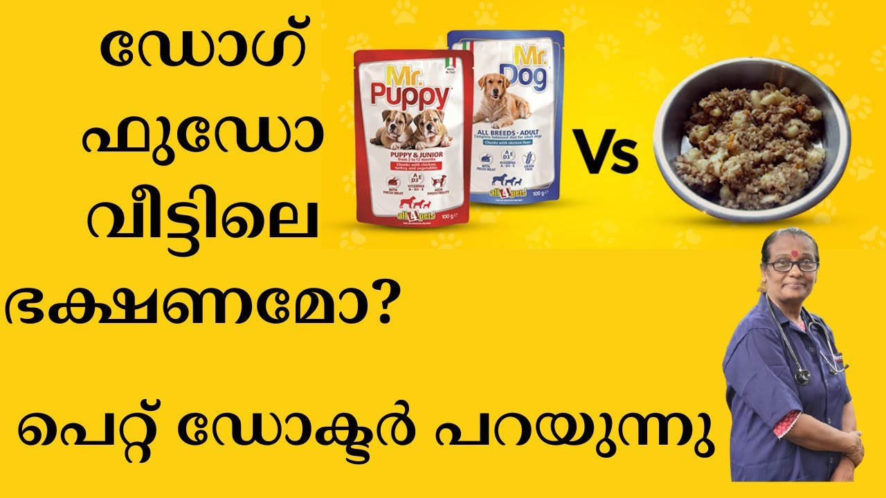 ഡോഗ് ഫുഡ് കൊടുക്കണോ? വീട്ടിലെ ഭക്ഷണം കൊടുക്കണോ? Dog Food or Home Food ? Which is best for Dogs?