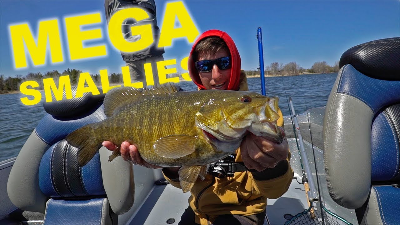 Cold Water MEGA Smallmouth!