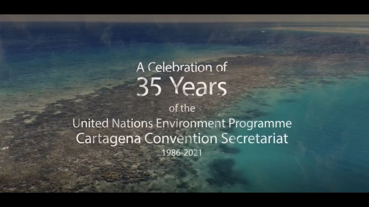 Cartagena Convention 35th Anniversary Video (English captions)