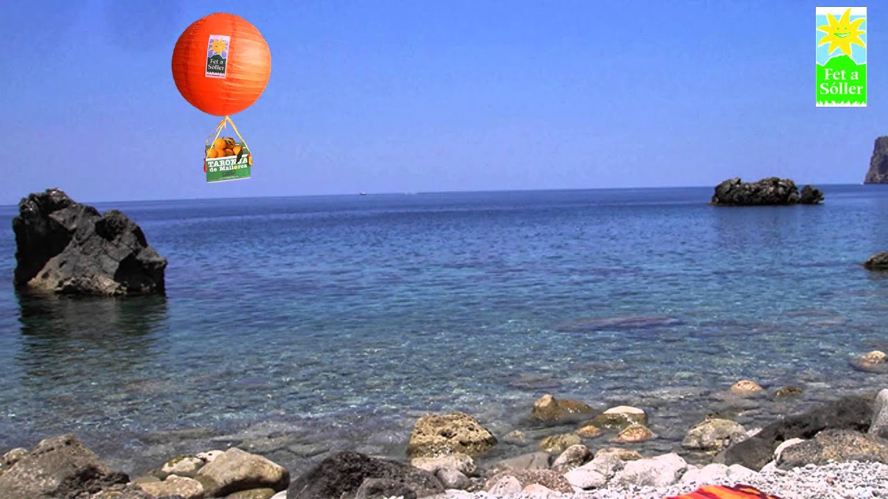Unsere Orangen koennen fliegen