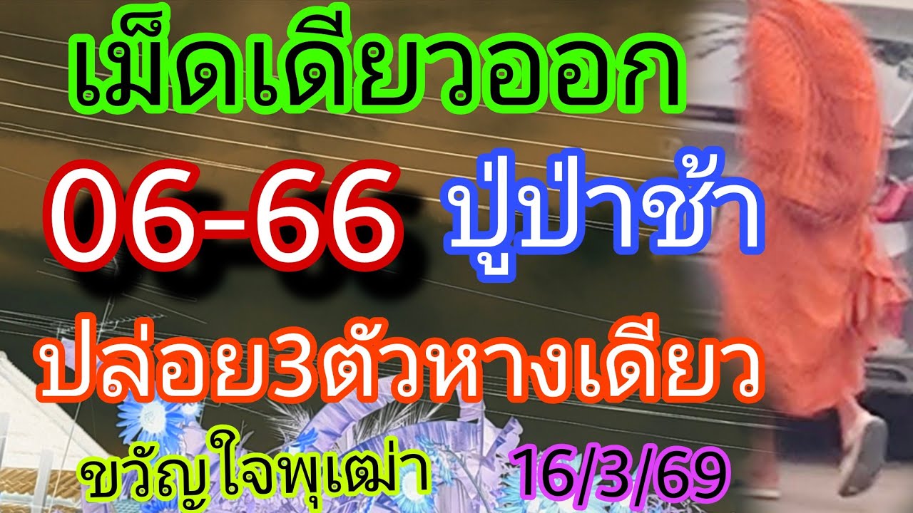 06-66ปู่ป่าช้าเม็ดเดียวออกปล่อย3ตัวหางเดียว16/3/69