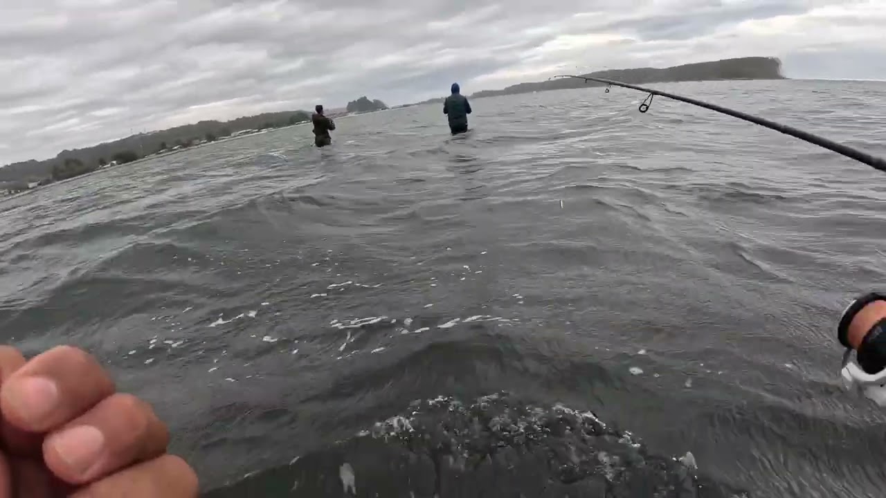 Probando señuelos de Aliexpress en la costa de la región de la Araucanía. 