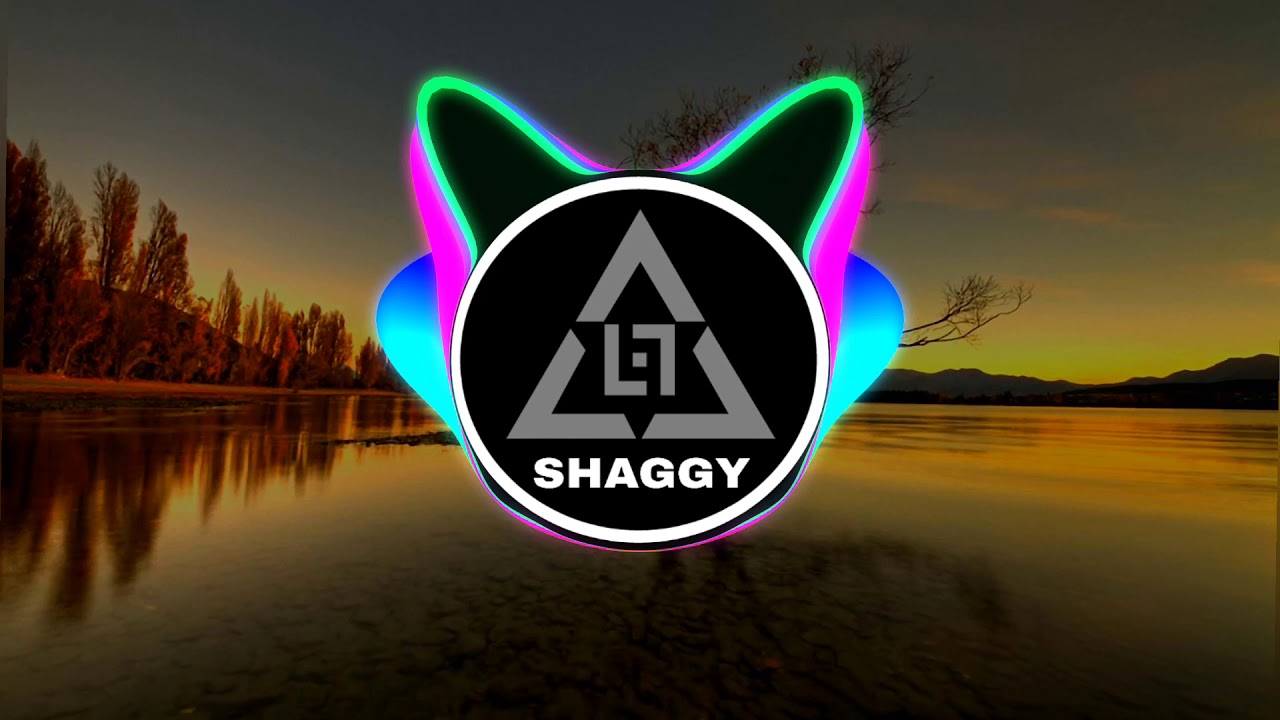 Funeral Dance Meme Song Remix - Shaggy | Coffin Dance song