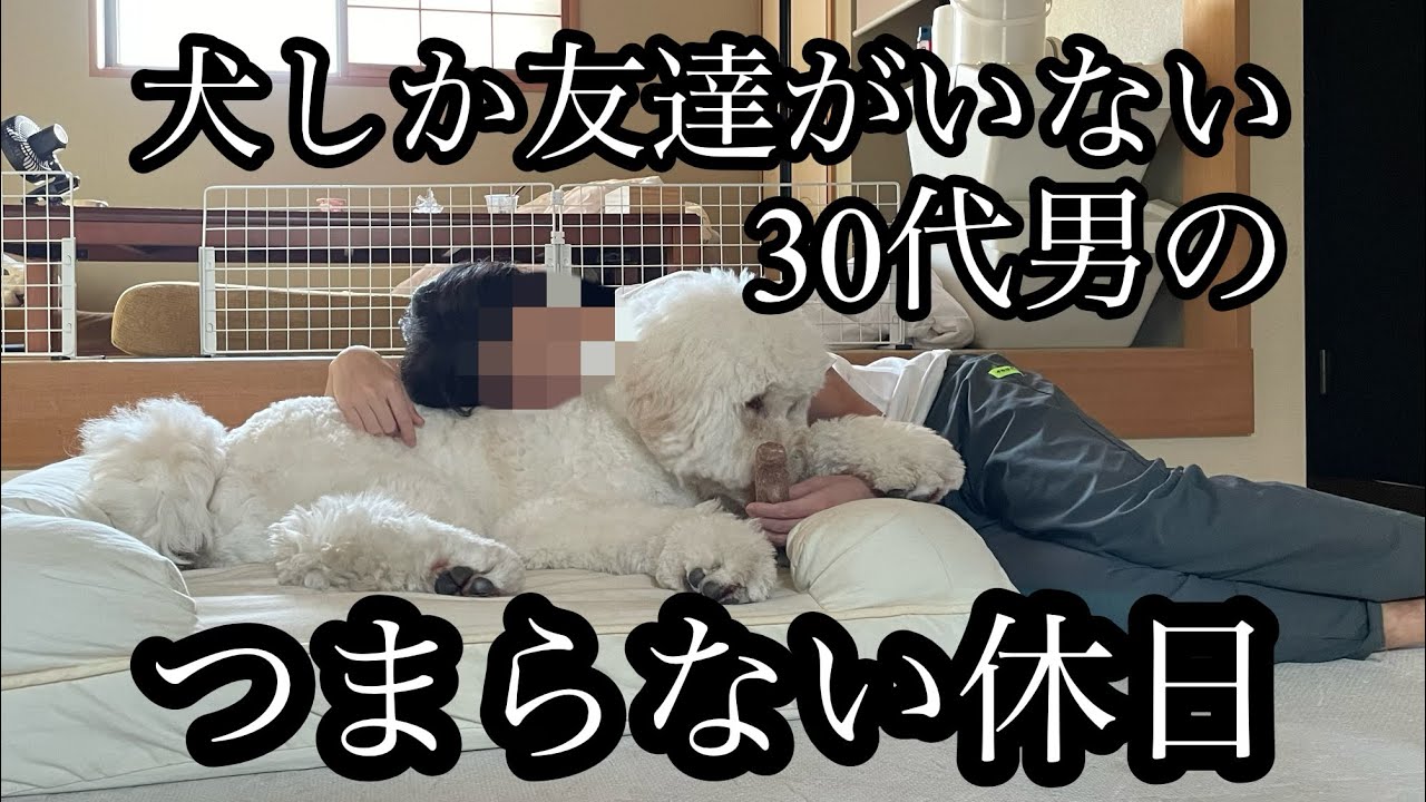 犬しか友達がいない、30代男のつまらない休日