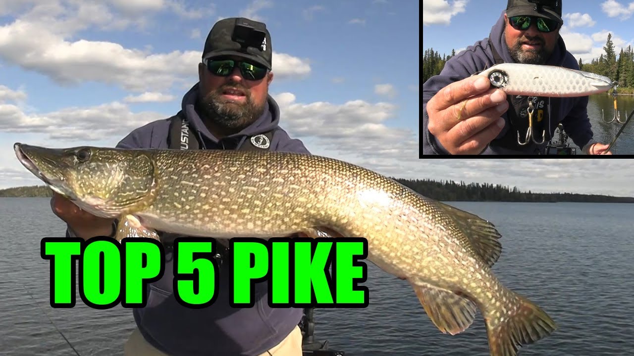 Pike Fishing in Northern Manitoba!!