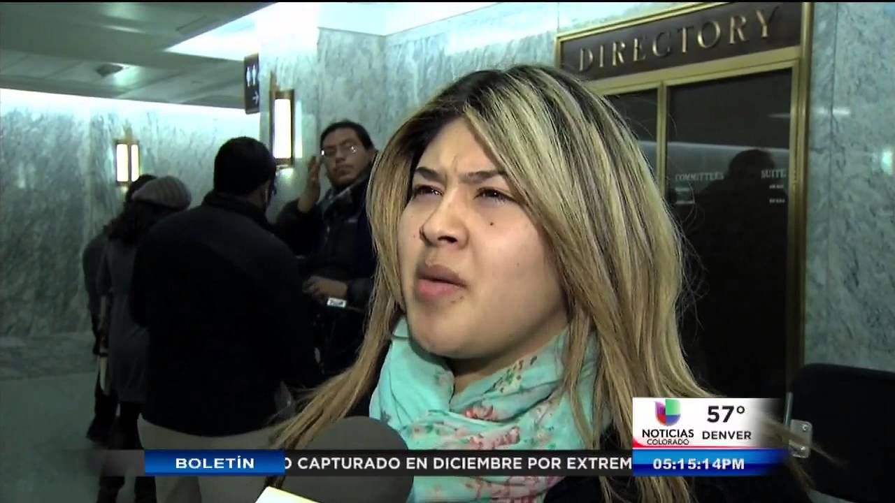 Acci&oacute;n ejecutiva