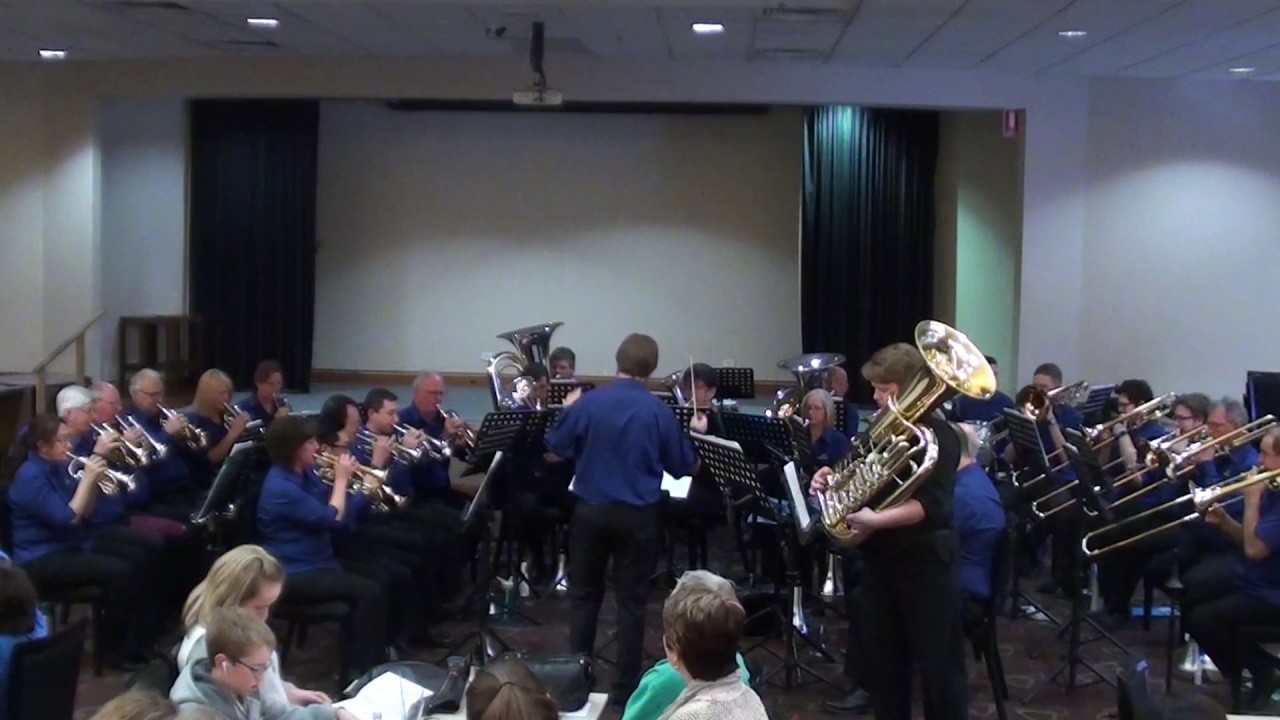 The Bass in the Ballroom - Roy Newsome
