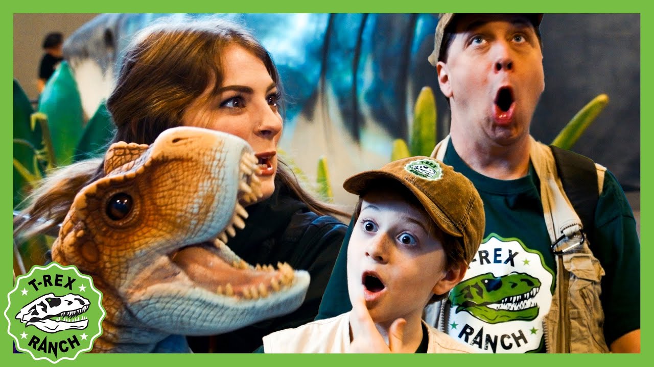 Can the Park Rangers find Baby T-Rex at the show? | 🦖🦕 T-Rex Ranch Dinosaur Videos