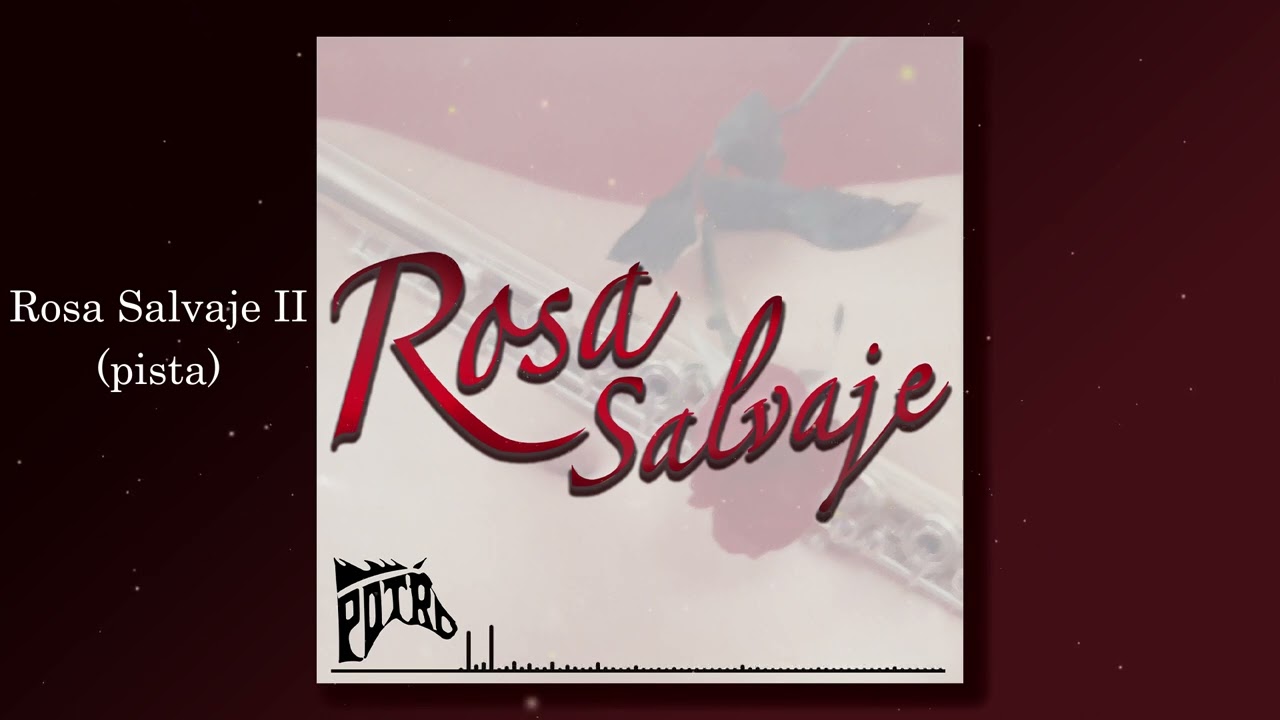 Rosa Salvaje II (instrumental)