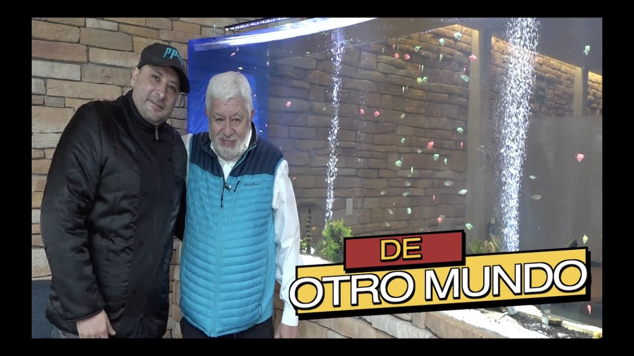 LOS ACUARIOS DE JAIME MAUSSAN||||||👽🐟🐠
