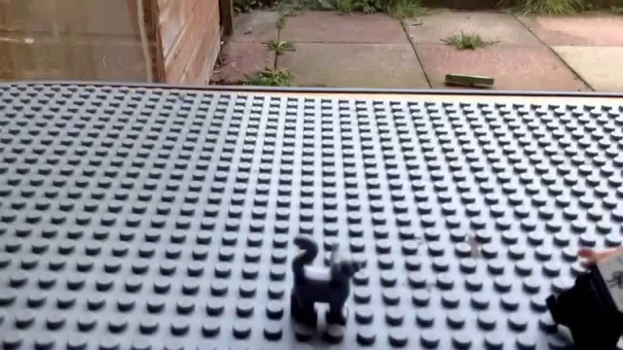 Lego life cycle
