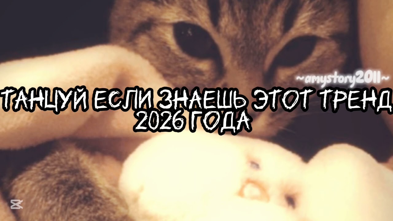 Танцуй если знаешь этот тренд 2026 года #amystory2011 #потрендам #залетипж #тренды #врек #дуэт #2026
