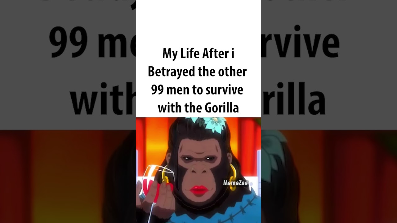 Gorilla Life