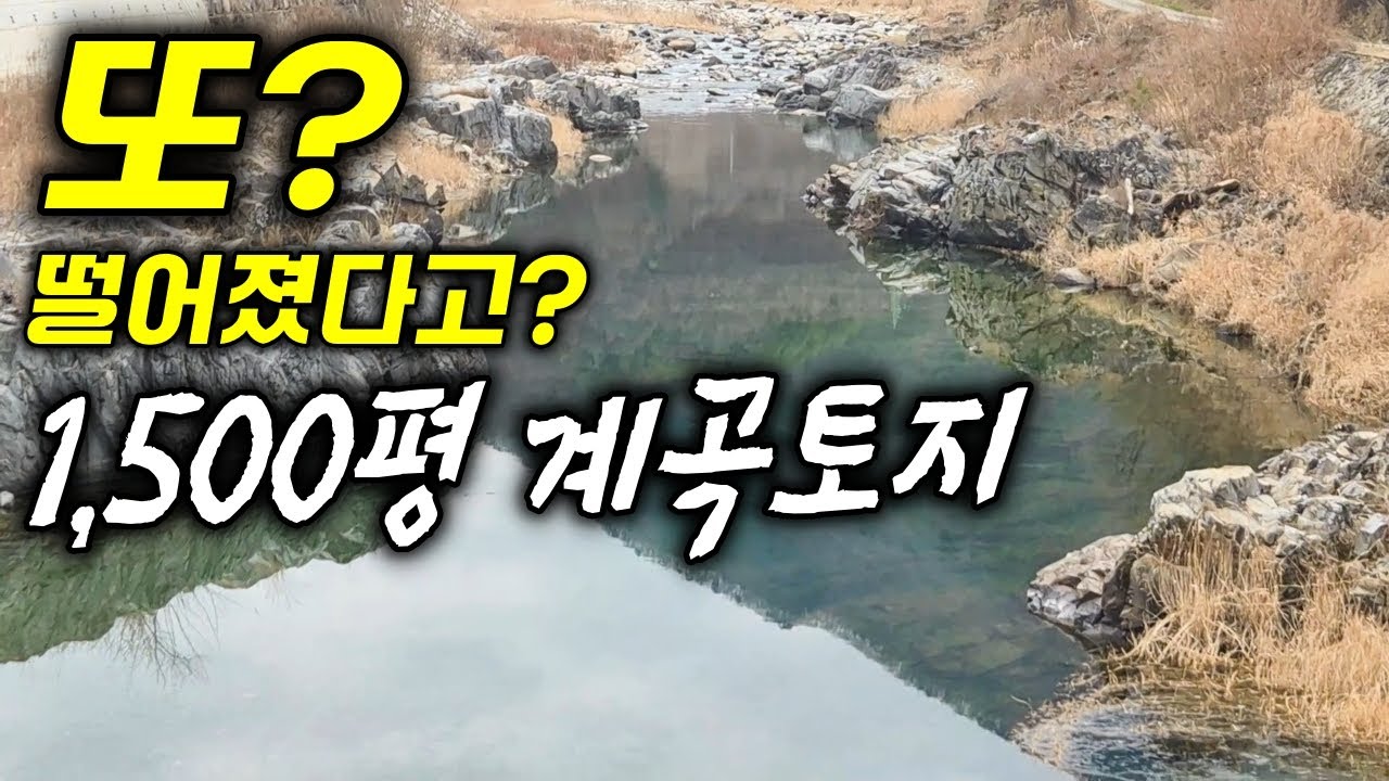 또? 말도 안되는 가격! 1,500평 전부에 붙어 있는 1등급 콸콸 계곡