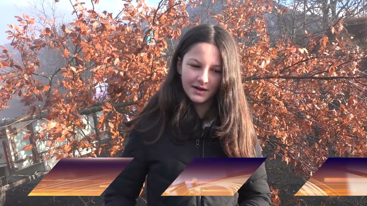 TV 5 - Seča i paljenje badnjaka u Brodarevu