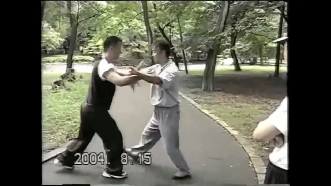 Taikiken and The Art of Pushing Hands to Effectively Control Your Opponent in close range combat!