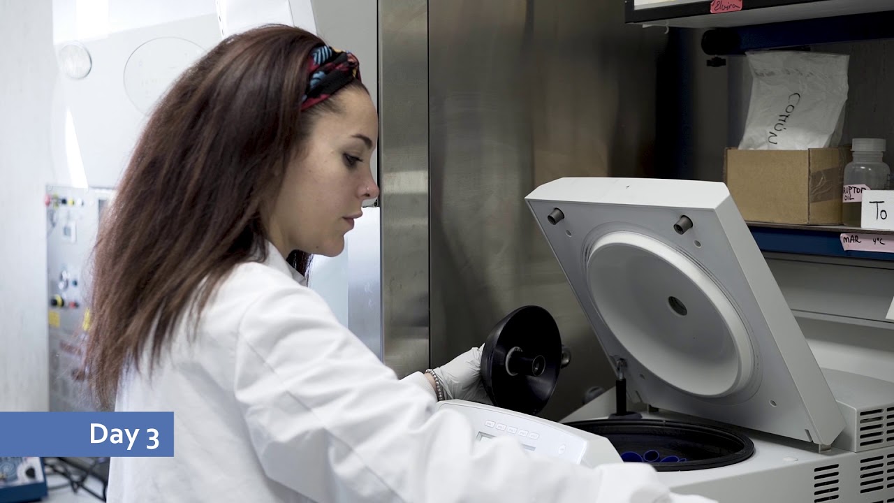 R4B Methods - Isolation of bacterial lipid rafts