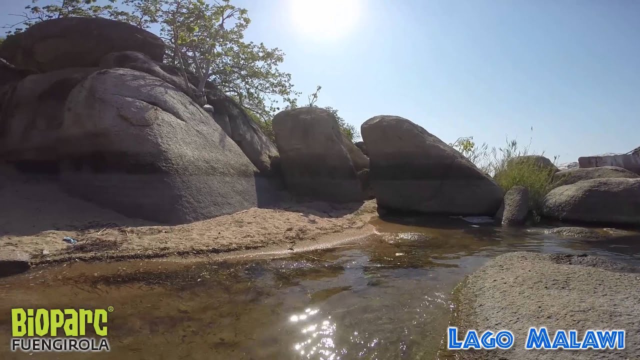 Snorkel en el Lago Malawi 1