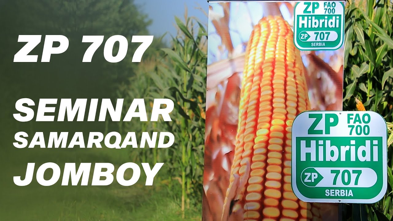 ZP 707 UZBEKISTAN SEMINAR TRAILER +998 90 604 05 55