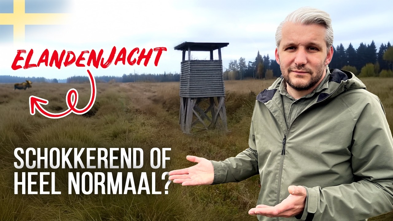 We eten vlees, maar veroordelen de jacht &ndash; waarom eigenlijk?