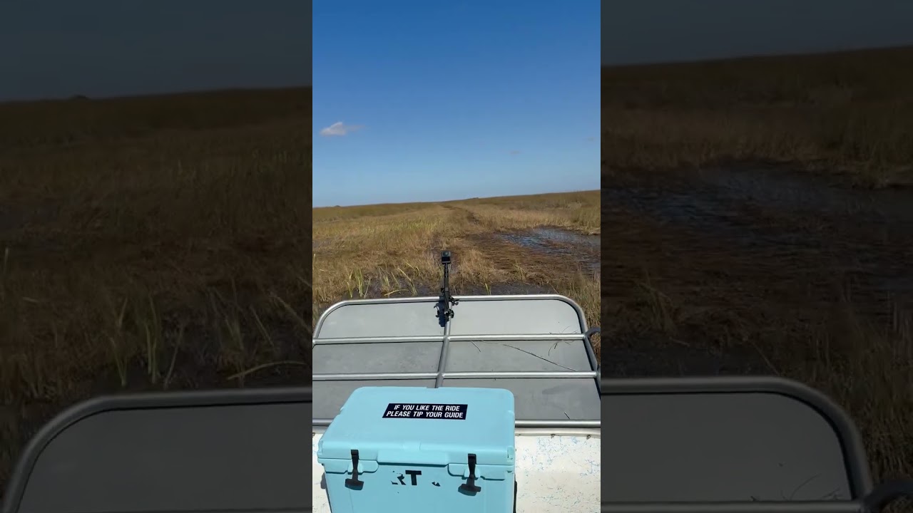 Everglades Airboat Ride Pt 4 