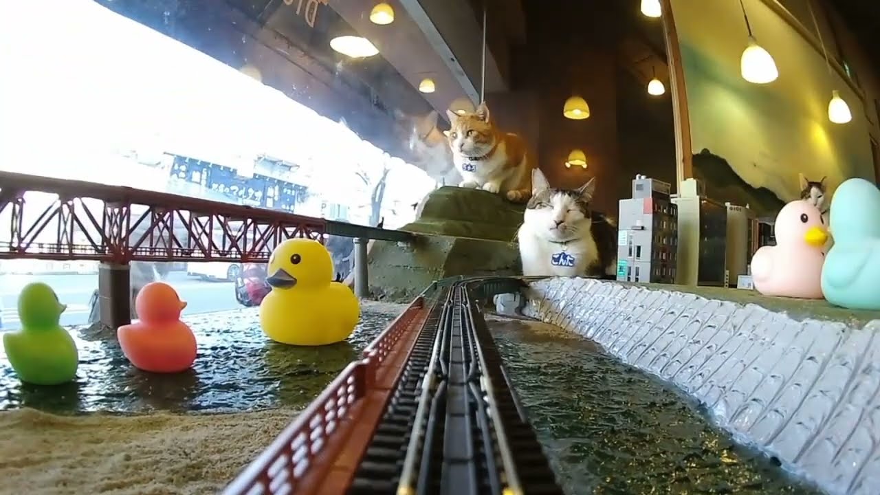 You are the first customer of our new railroad! We hope you continue to have a pleasant journey!