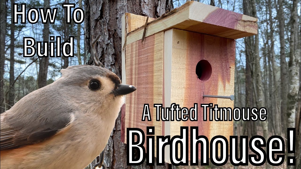 How To Build a Tufted Titmouse Birdhouse