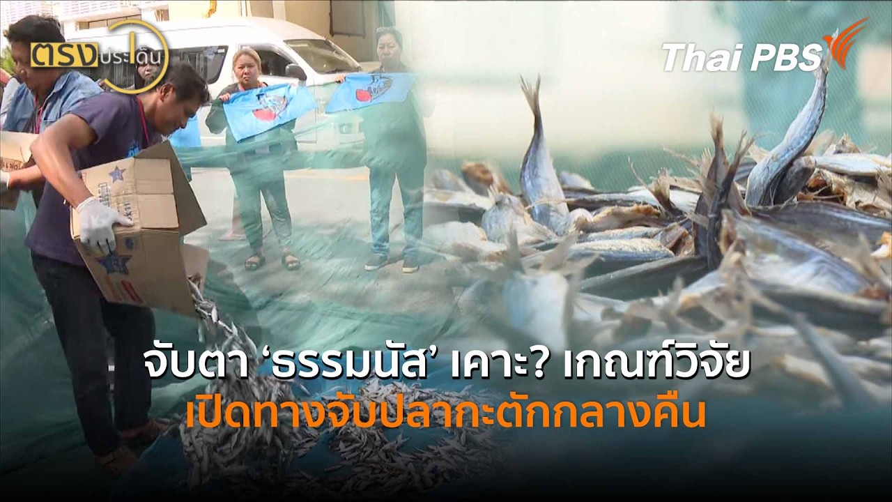 จับตา ‘ธรรมนัส’ เคาะ? เกณฑ์วิจัย เปิดทางจับปลากะตักกลางคืน (4 มี.ค. 69) I ตรงประเด็น