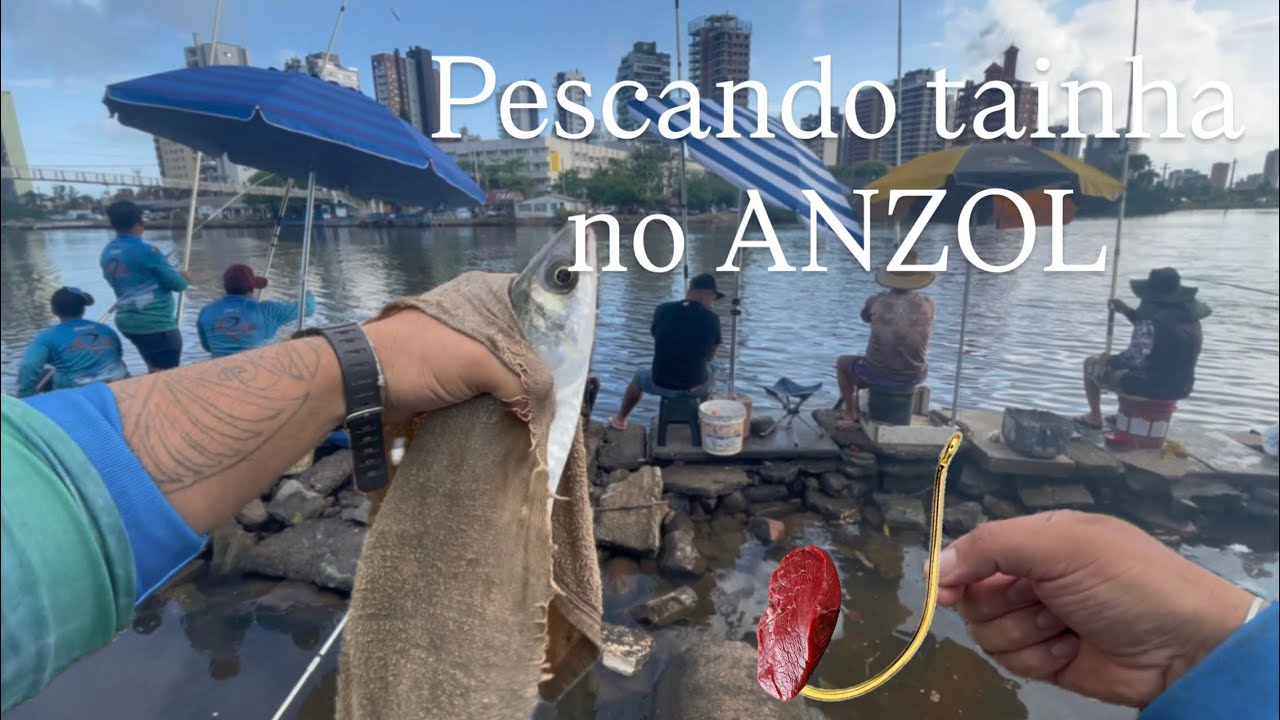 Essa Pescaria é a mais VICIANTE que EXISTE!! Pescaria de tainha com anzol, entenda como funciona.