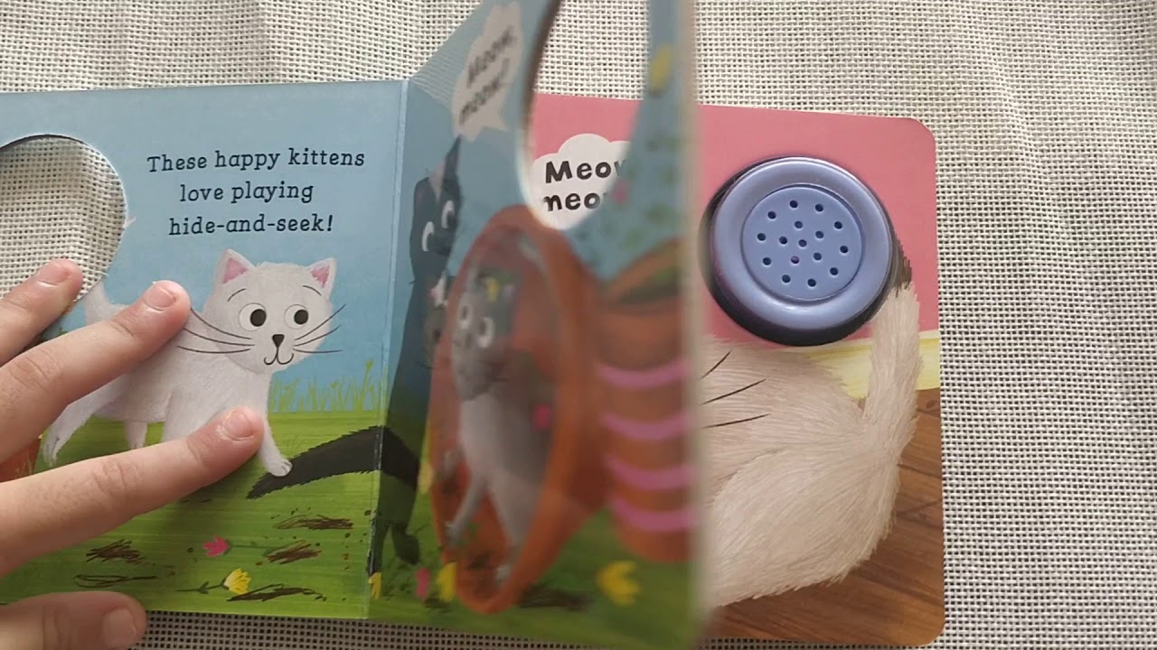 Hinkler First Steps Noisy Kittens Sound book