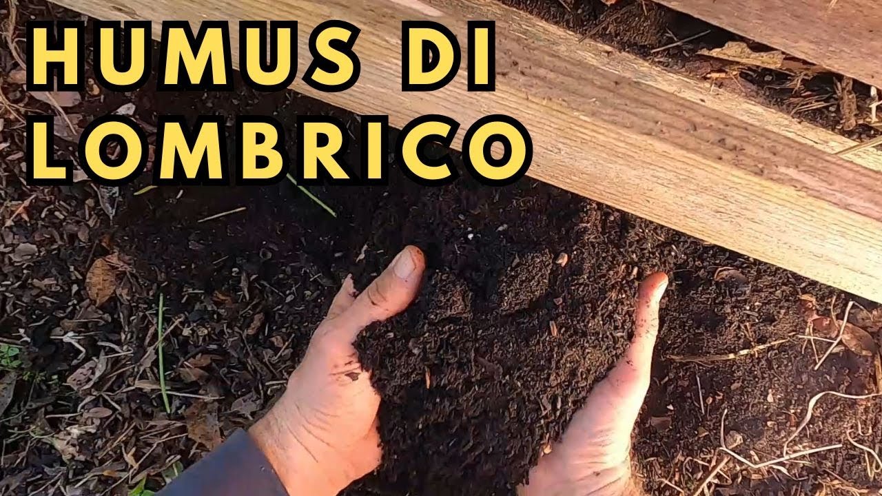 Guida alla Raccolta dell’Humus e alla Migrazione Naturale dei Lombrichi