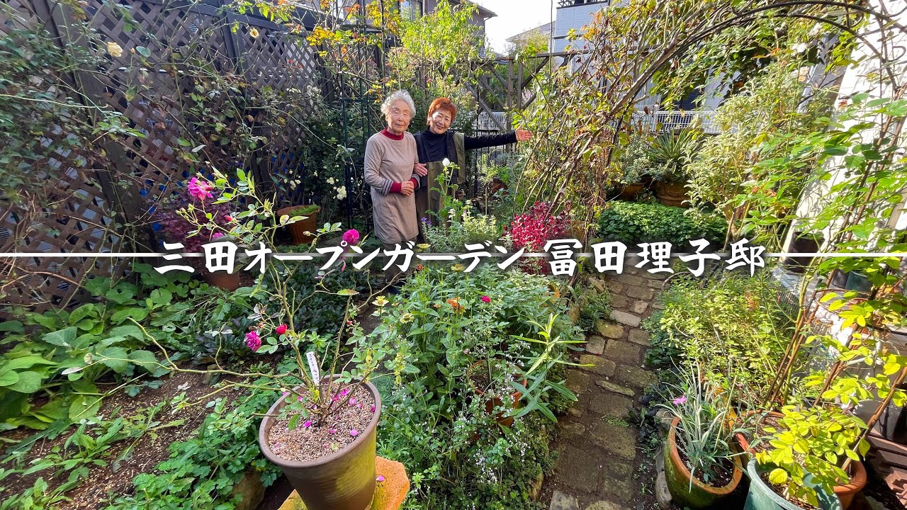【三田オープンガーデン】個人邸の庭を訪問／逞しく咲く宿根草とこぼれ種でデザインする庭／82歳のエネルギッシュな冨田さんの健康の秘訣は？【冨田理子邸】