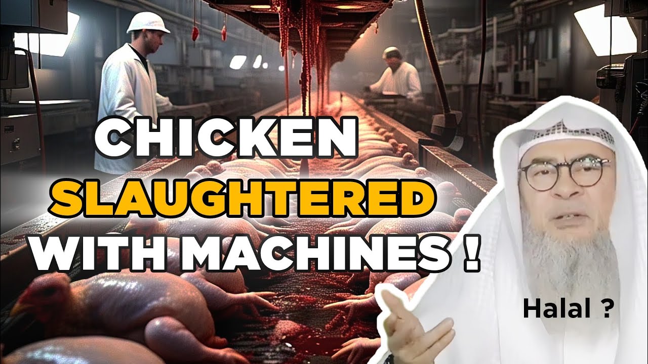 CHICKEN SLAUGHTERED WITH MACHINES, ARE THEY HALAL ? | SHEIKH ASSIM AL HAKEEM