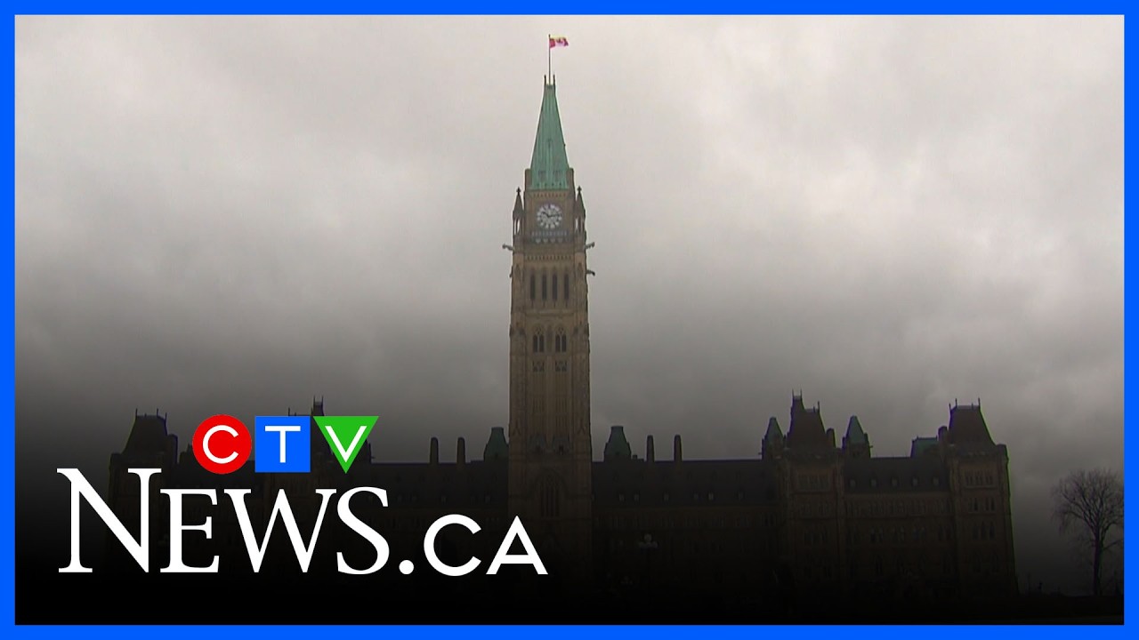 Организация Blue Alberta анализирует политику либерального правительства большинства.