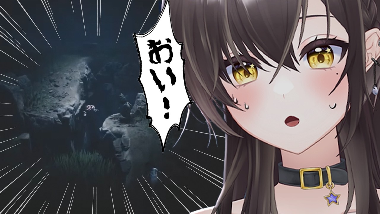 【落下集】みんなの分まで落ちてきました🕳️【REANIMAL】