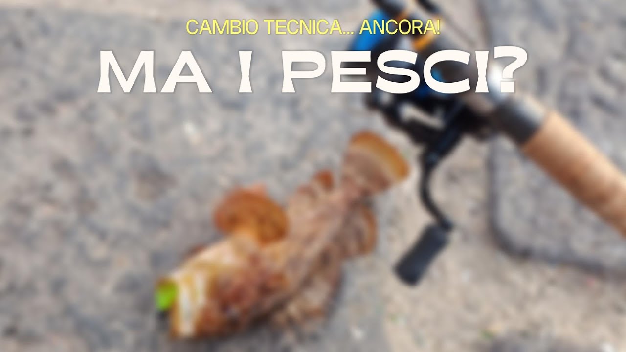 CAMBIO TUTTO: dal jigging al light rock per salvare la giornata... cosa sta succedendo a Scilla?