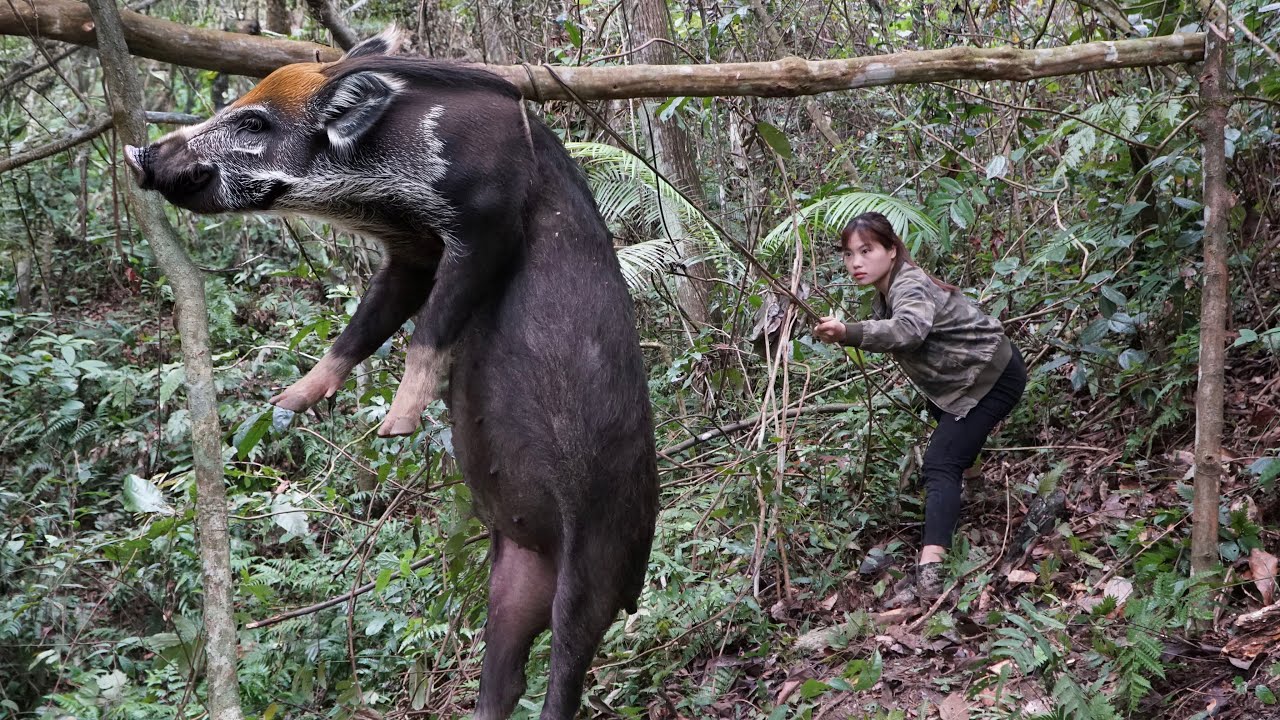 Making bamboo tubes and poisoned arrows, hunting wild boars and bamboo rats with fire and smoke