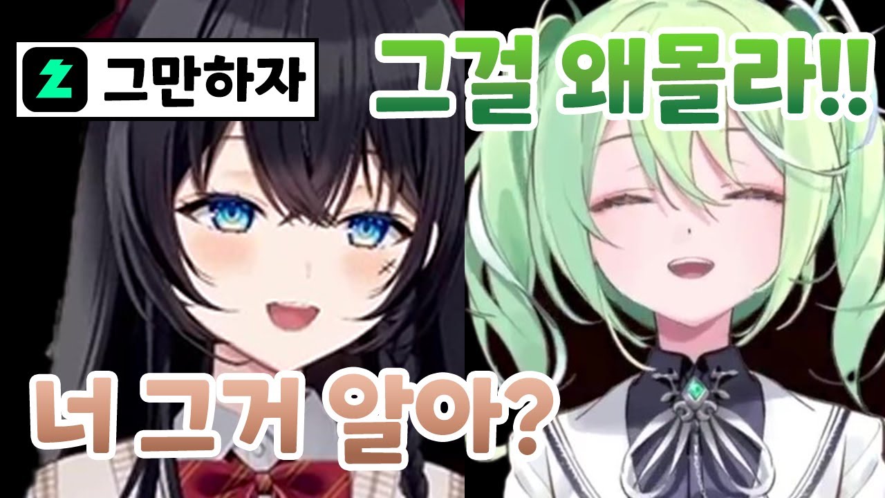 덤앤더머 히나리코