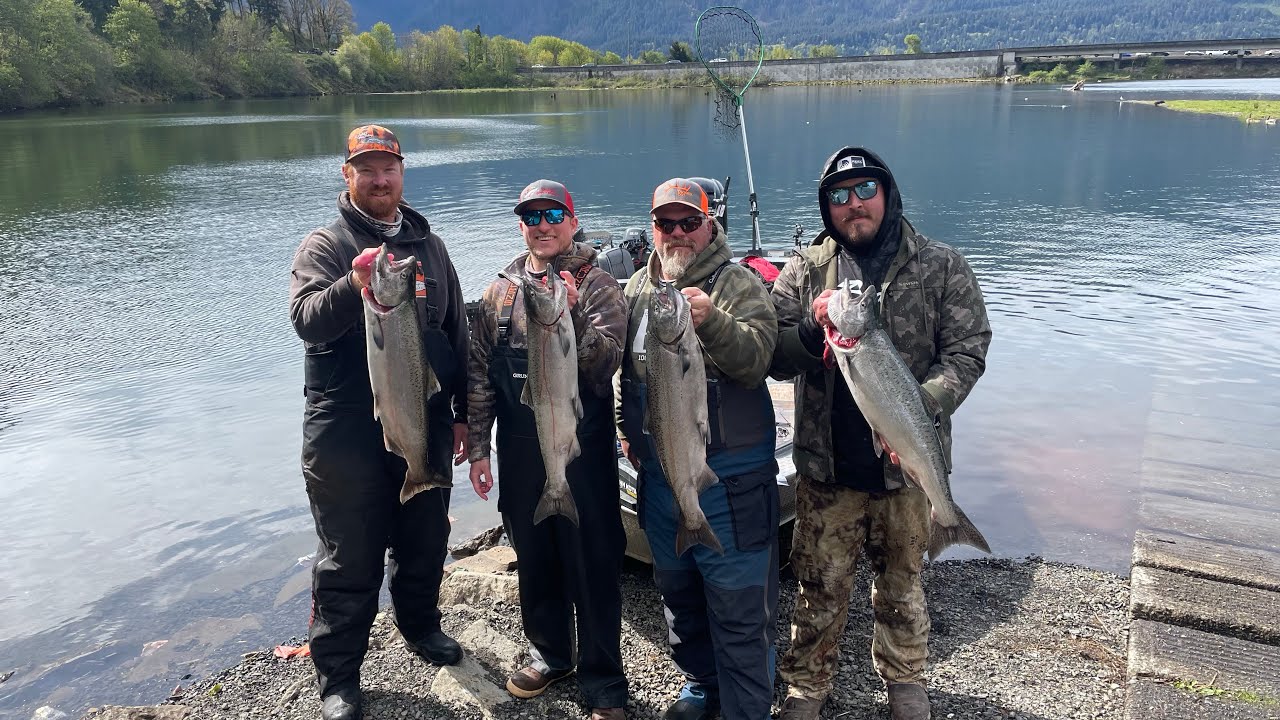 Prawn Spinners For Spring Chinook!
