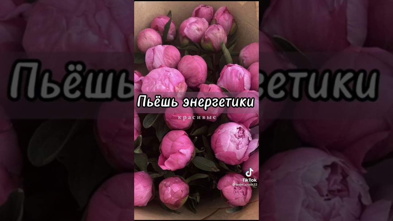 Пой эту песню если ты... (◍•ᴗ•◍)