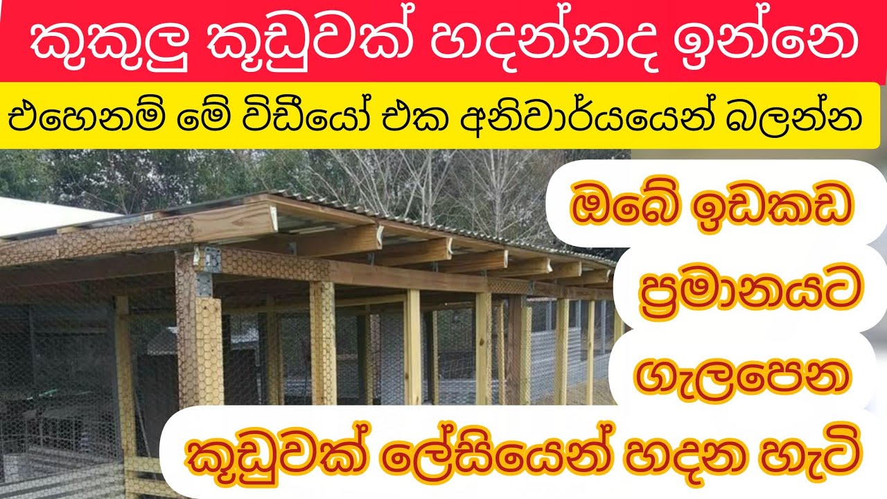 කුකුලු කූඩුවක් ඔබේ ඉඩ ප්‍රමානයට ගැලpena ලෙස හදන හැටි  How to make poultry house. #animalava #rir #ch