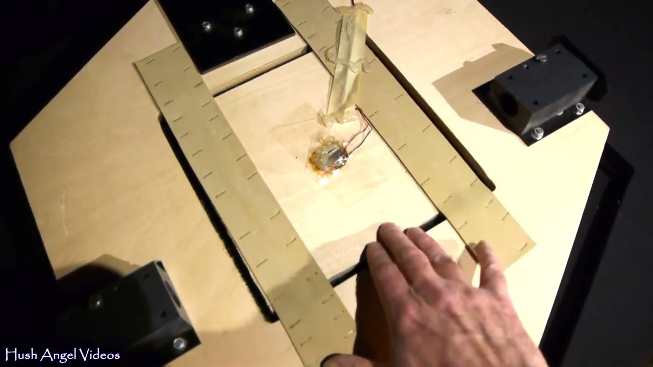 Inside a Vintage SIMMONS Bass Drum