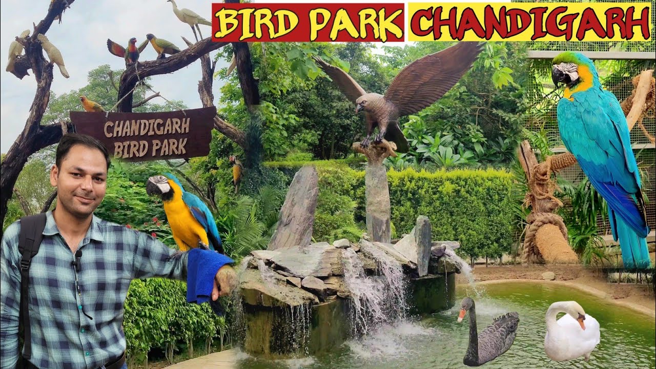 Bird Park Chandigarh | A Famous Tourist Places For Nature Lovers