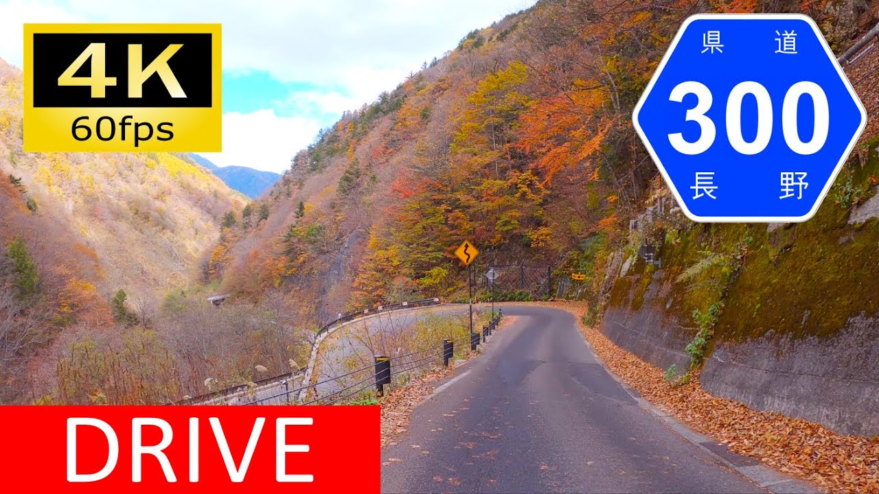 【Driving in Japan】Nagano Prefectural Route 300: Norikura Kogen - Inekoki, Nagano（車載動画 長野県道300号）[4K]