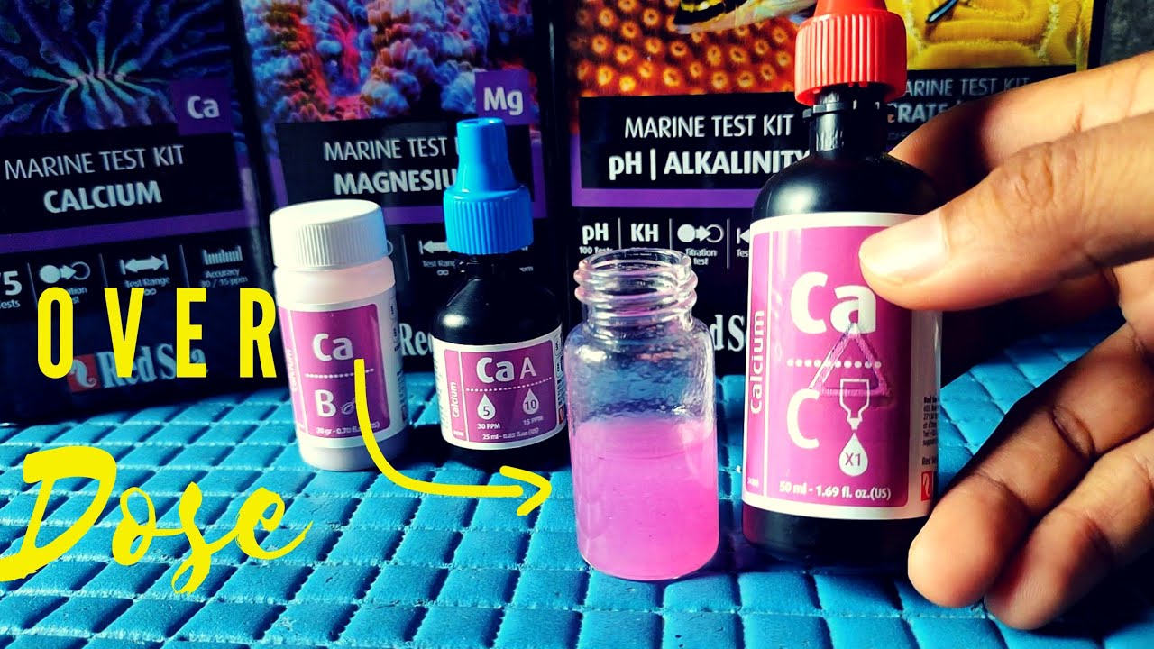 Cara Tes Big 3 menggunakan Red Sea Test Kit,Ternyata Over!