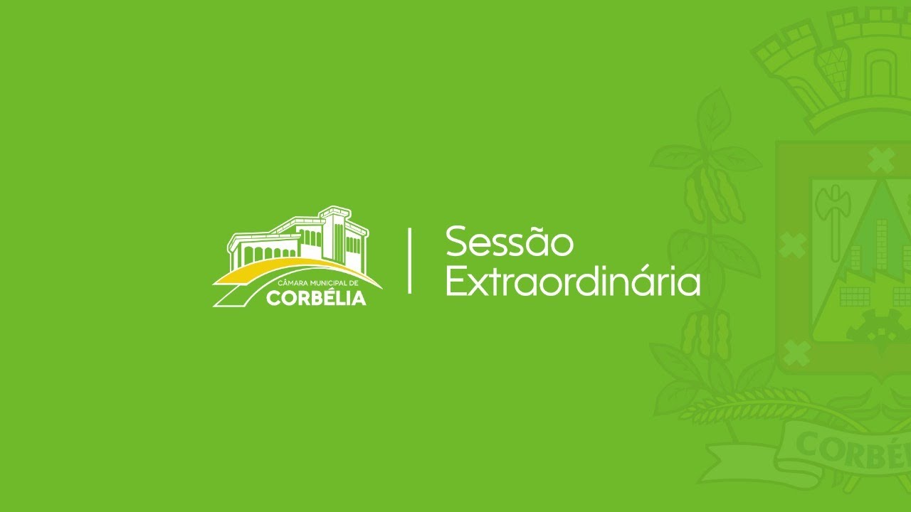 1º Sessão Extraordinaria | 26/01/2026