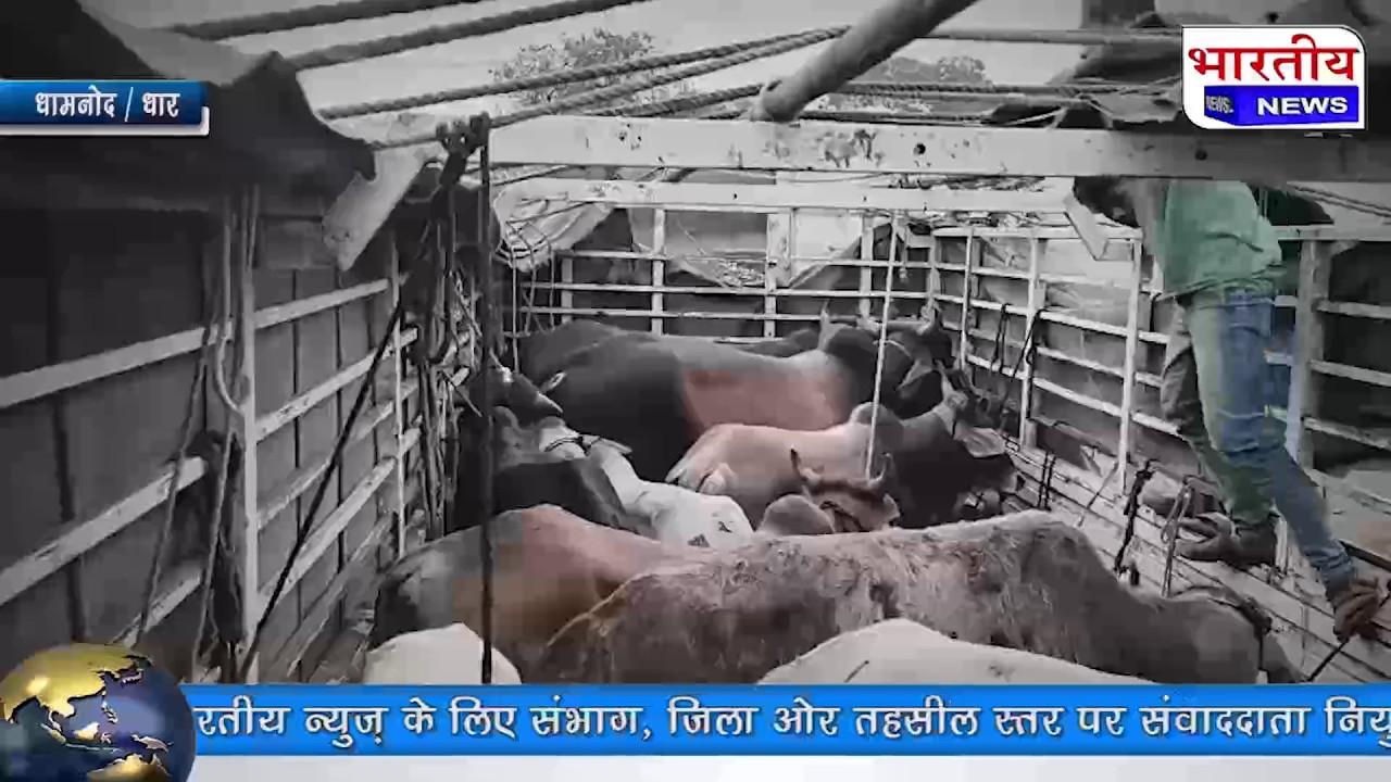 गोवंश तस्करी का पर्दाफाश स्थानीय लोगों ने पकड़ा आईसर वाहन पथराव के आरोप एक आरोपी पुलिस अभिरक्षा मे..